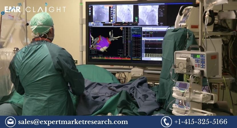 Read more about the article Global Cardiac Mapping Systems Market Size to Grow at a CAGR of 8.50% During the Forecast Period of 2024-2032