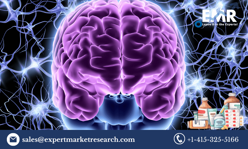 Read more about the article Global Central Nervous System (CNS) Stimulant Drugs Market Size to Grow at a CAGR of 6% in the Forecast Period of 2024-2032