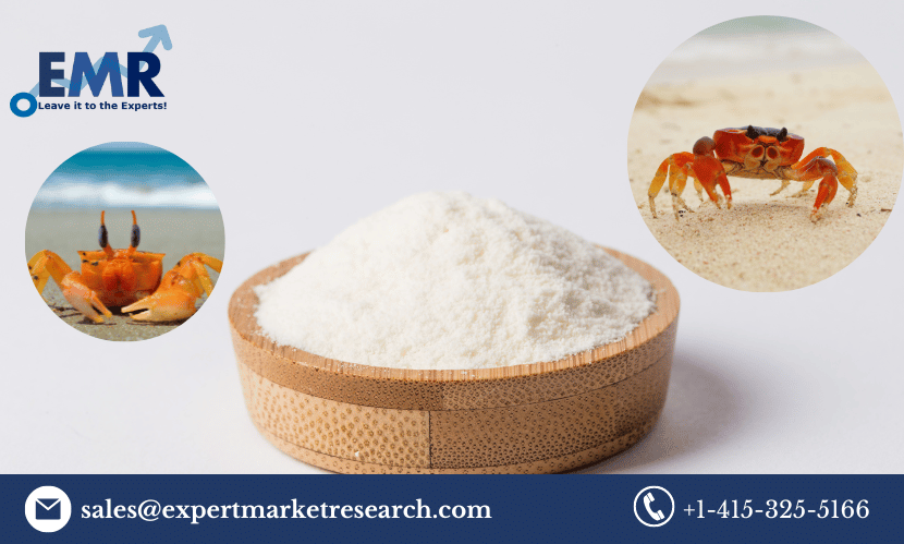 You are currently viewing Global Chitosan Market Size to Grow at a CAGR of 20.9% in the Forecast Period of 2023-2028