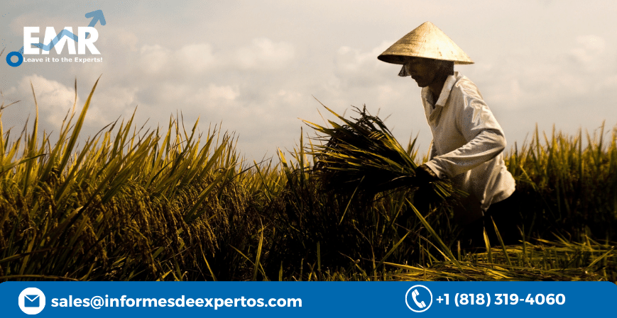 Read more about the article Latin America Crop Insurance Market to Gain Traction in the Anticipated Period of 2023-2028 with the Augmented Government Support and Natural Calamities that Destroy Crops