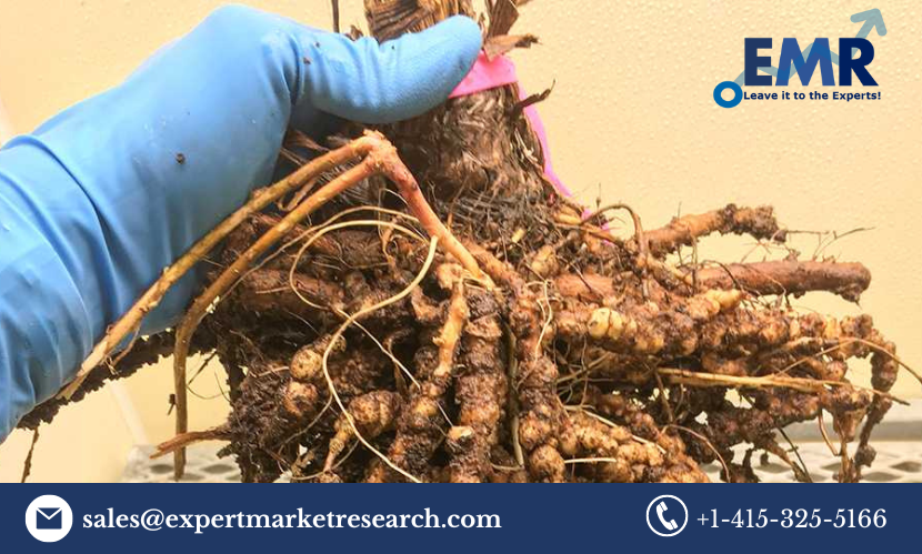 Read more about the article Global Nematicides Market Size to Grow at a CAGR of 4% in the Forecast Period of 2023-2028