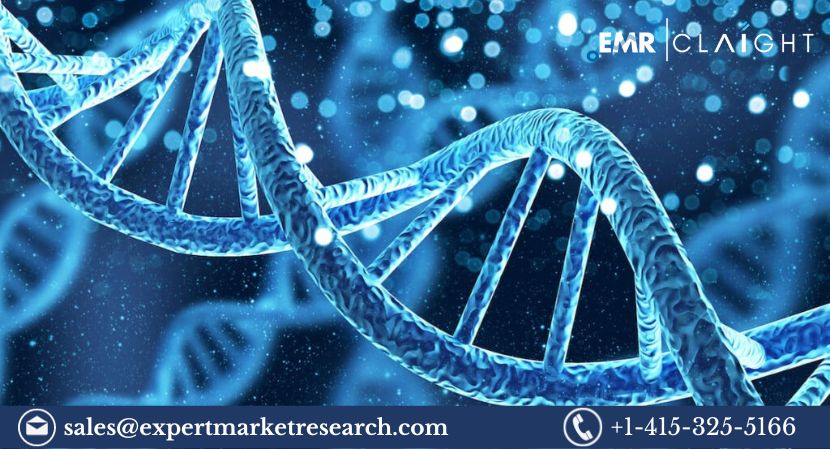 Read more about the article Next Generation Sequencing (NGS) Market Size to Grow at a CAGR of 11.21% in the Forecast Period of 2024-2032