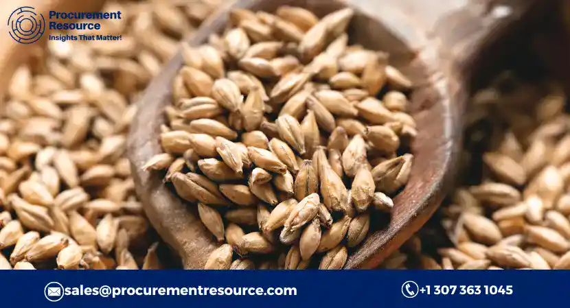 Read more about the article Malted Barley Production Cost Analysis Report 2022-2027: Manufacturing Process, Raw Materials Requirements and Cost Breakups