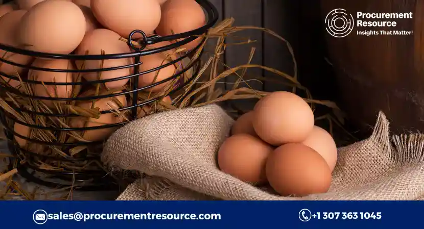 Read more about the article Eggs Production Cost Analysis Report, Raw Materials Requirements, Costs and Key Process Information, Provided by Procurement Resource