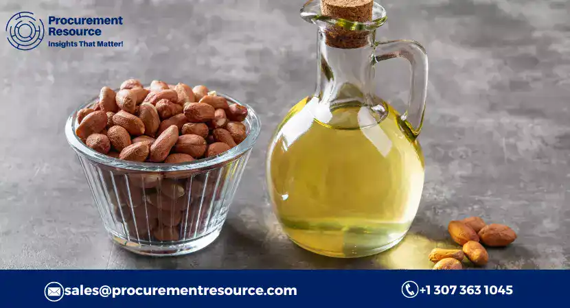 Read more about the article Groundnut Oil Production Cost Analysis Report: Manufacturing Process, Raw Materials Requirements, Variable Cost, Production Cost Summary and Key Process Information