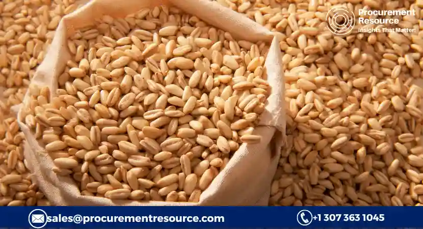 Read more about the article Feed Barley Production Cost Analysis Report, Raw Materials Requirements, Costs and Key Process Information, Provided by Procurement Resource