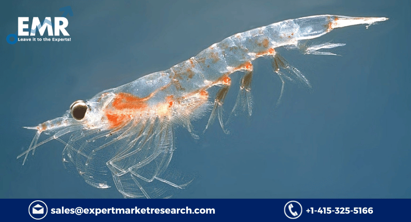 Read more about the article Global Krill Oil Market Size to Increase at a CAGR of 11.40% in the Forecast Period of 2023-2028