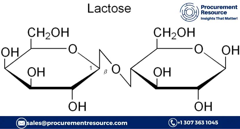 Read more about the article Lactose Production Cost Analysis Report: Manufacturing Process, Raw Materials Requirements, Variable Cost, Production Cost Summary and Key Process Information