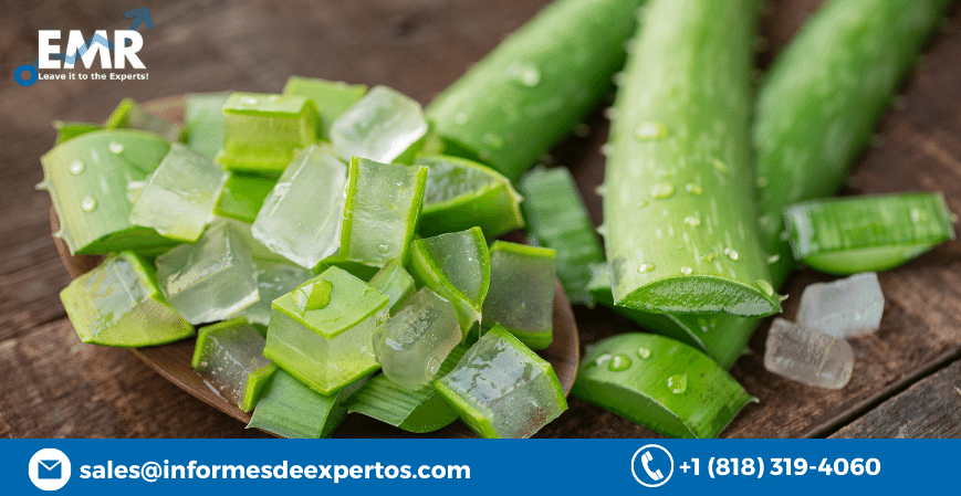 You are currently viewing Latin America Aloe Vera Market to Register Growth due to Burgeoning Product Use in Cosmetics and Personal Care During 2023-2028