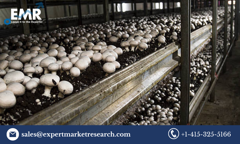 Read more about the article Global Mushroom Cultivation Market Size to Grow at a CAGR of 4.40% in the Forecast Period of 2023-2028