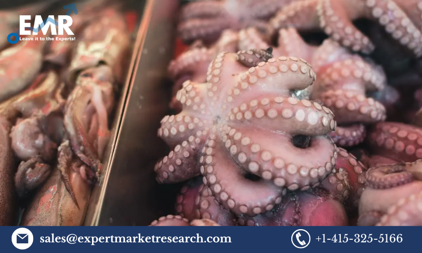 Read more about the article Global Octopus Market Size to Grow at a CAGR of 1.20% in the Forecast Period of 2023-2028