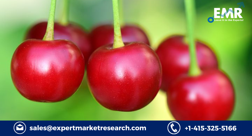 Read more about the article Global Red Berries Market Size to Grow at a CAGR of 3.0% in the Forecast Period of 2023-2028