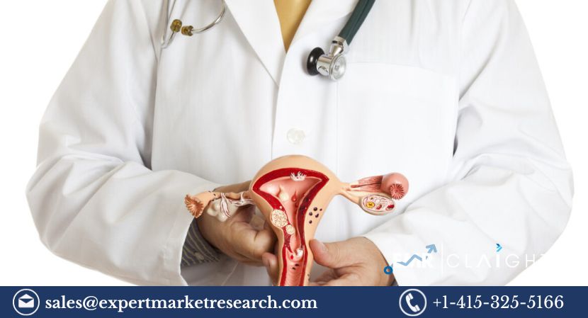 Read more about the article Uterine Fibroid Treatment Devices Market Size to Grow at a CAGR of 9.5% During the Forecast Period of 2024-2032