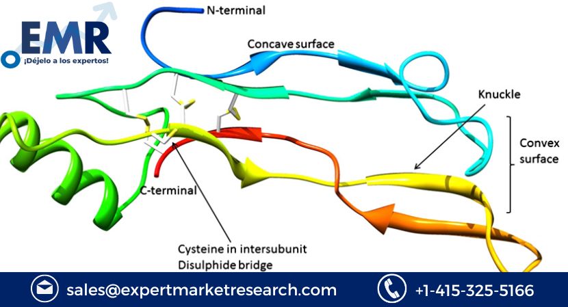 Read more about the article Global Bone Morphogenetic Proteins Market Size to Increase at a CAGR of 2.3% in the Forecast Period of 2023-2028