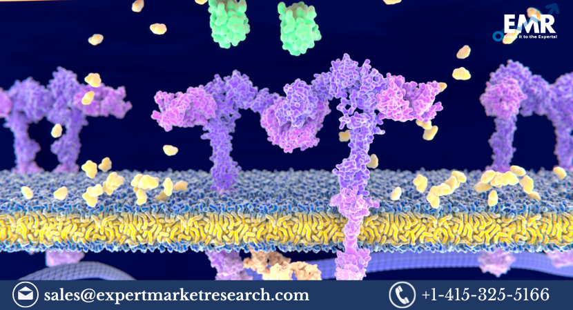 Read more about the article Global Bruton’s Tyrosine Kinase (BTK) Inhibitors Market Size to Grow at a Healthy Rate in the Forecast Period of 2023-2031