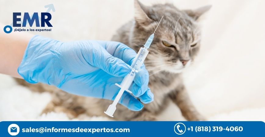 Read more about the article Chile Veterinary Medicine Market to Expand Significantly During 2023-2028, Driven by Rising Pet Ownership and Specialised Veterinarians