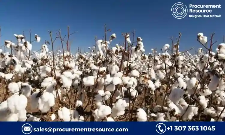 Read more about the article Cotton Lint Production Cost Analysis Report, Manufacturing Process, Raw Materials Requirements, Costs and Key Process Information, Provided by Procurement Resource