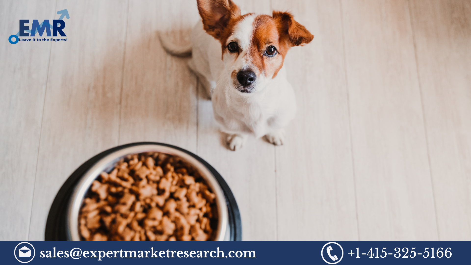 Read more about the article Dog Food Market Size, Share, Price, Trends, Analysis, Key Players, Report, Forecast 2023-2028