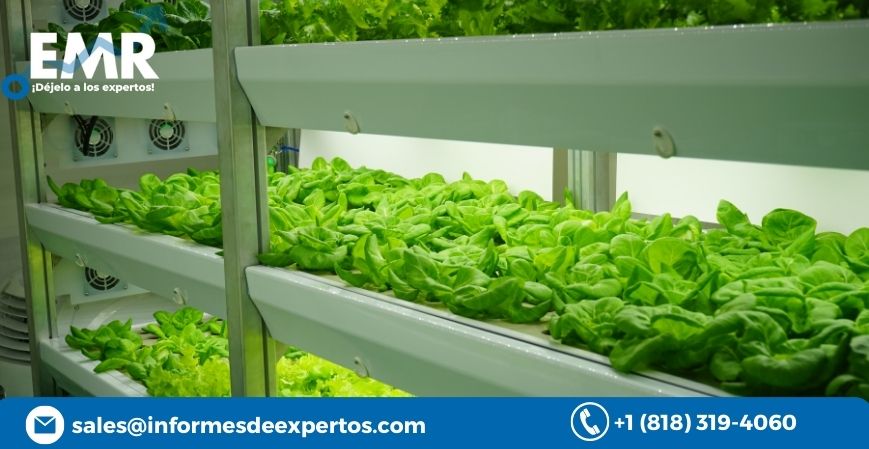 Read more about the article Mercado de la Agricultura Vertical Ganó un Valor de USD 8,80 Mil Millones en 2022 y Se Anticipa que Obtenga una CAGR de 19,6% durante el Período de Pronóstico de 2023-2028