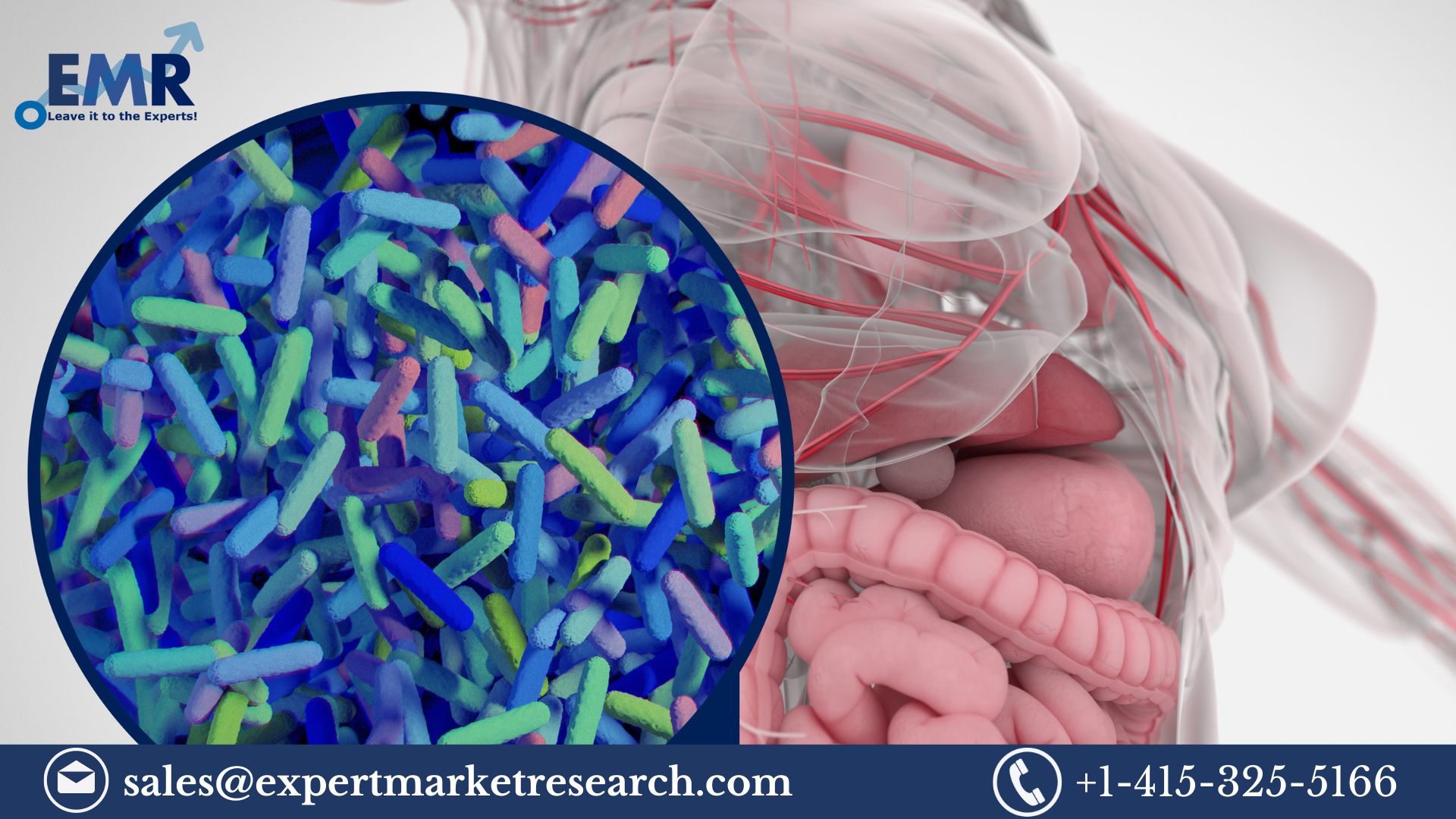 Read more about the article Microbiome Therapeutics Market Size, Share, Price, Trends, Analysis, Key Players, Report, Forecast 2023-2028