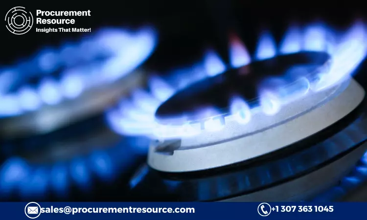 Read more about the article Natural Gas Production Cost Analysis Report, Raw Materials Requirements, Costs and Key Process Information, Provided by Procurement Resource