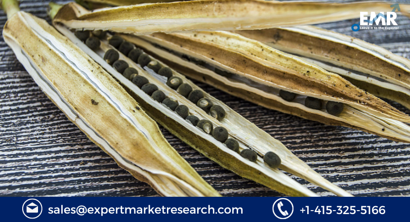 You are currently viewing Global Okra Seed Market Size to Grow at a CAGR of 5.60% During the Forecast Period of 2023-2028