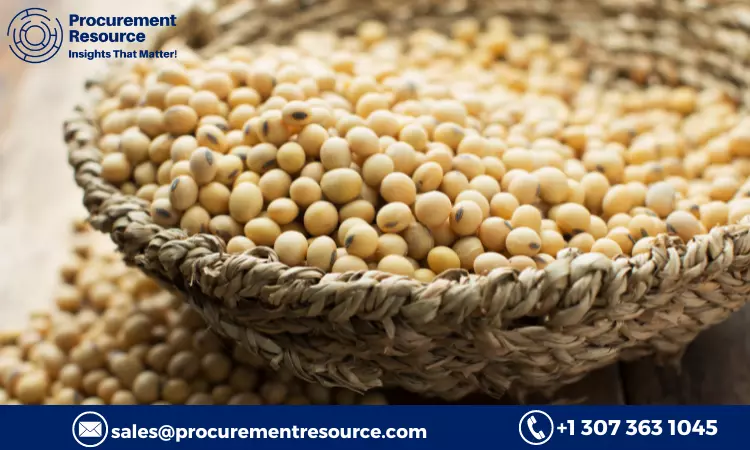 Read more about the article Soybean meal Production Cost Analysis Report, Manufacturing Process, Raw Materials Requirements, Costs and Key Process Information, Provided by Procurement Resource