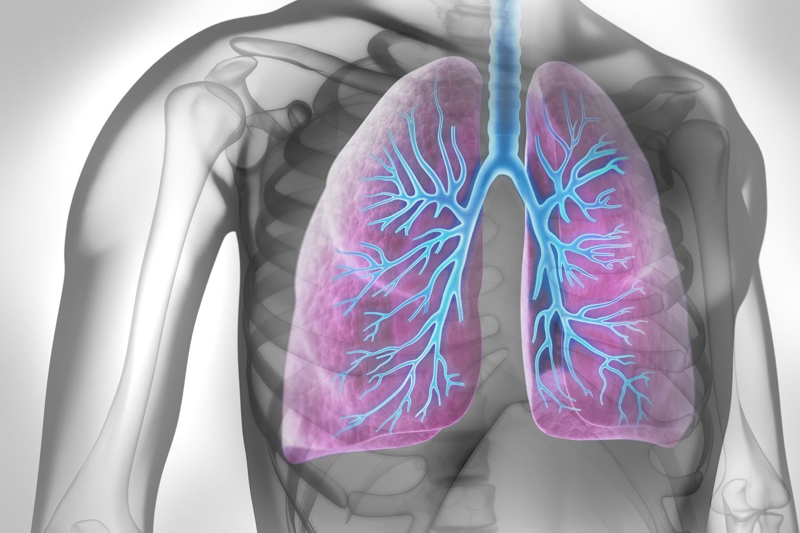 Read more about the article Global Acute Respiratory Syndrome Treatment Market Size to Grow at a CAGR of 10.1% in the Forecast Period of 2024-2032