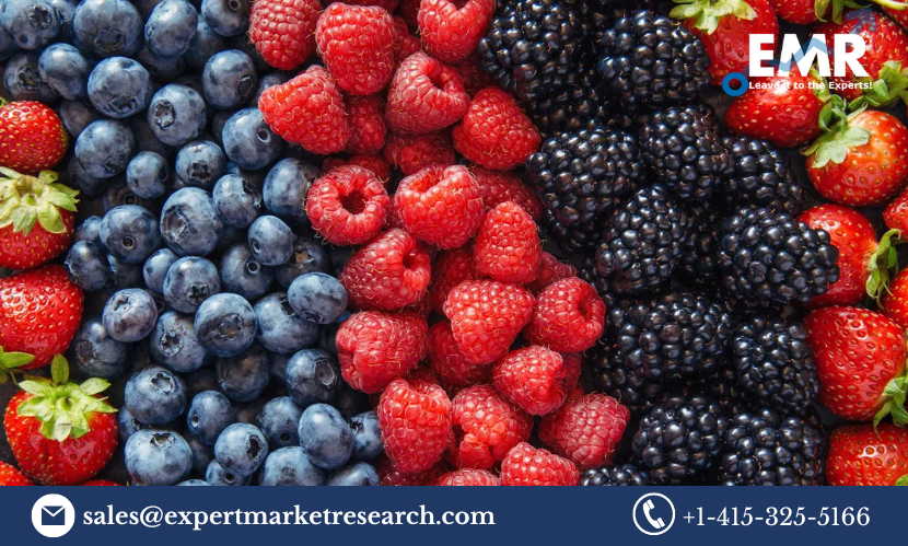 Read more about the article Global Anthocyanin Market Size to Grow at a CAGR of 4.30% During the Forecast Period of 2023-2028