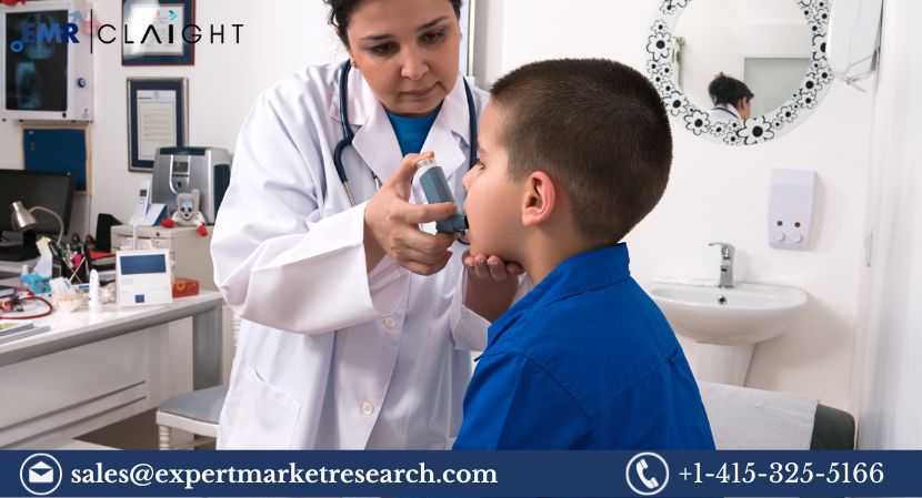 Read more about the article Asthma Treatment Market Size, Share, Price, Trends, Key Players, Analysis Report and Forecast 2024-2032