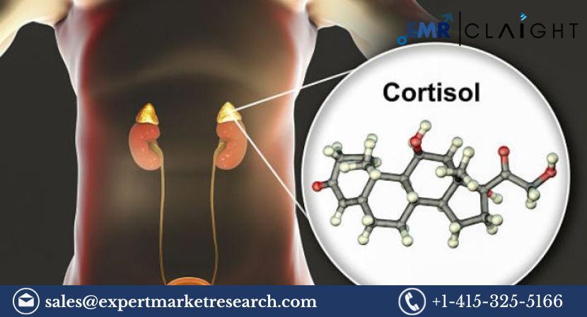 Read more about the article Global Congenital Adrenal Hyperplasia Treatment Market Size to Grow at a CAGR of 7.75% in the Forecast Period of 2024-2032