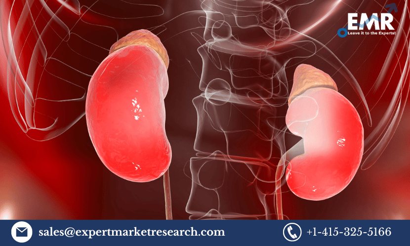 Read more about the article Global Congenital Adrenal Hyperplasia (CAH) Treatment Market Size to Grow at a CAGR of 7.7% in the Forecast Period of 2023-2031