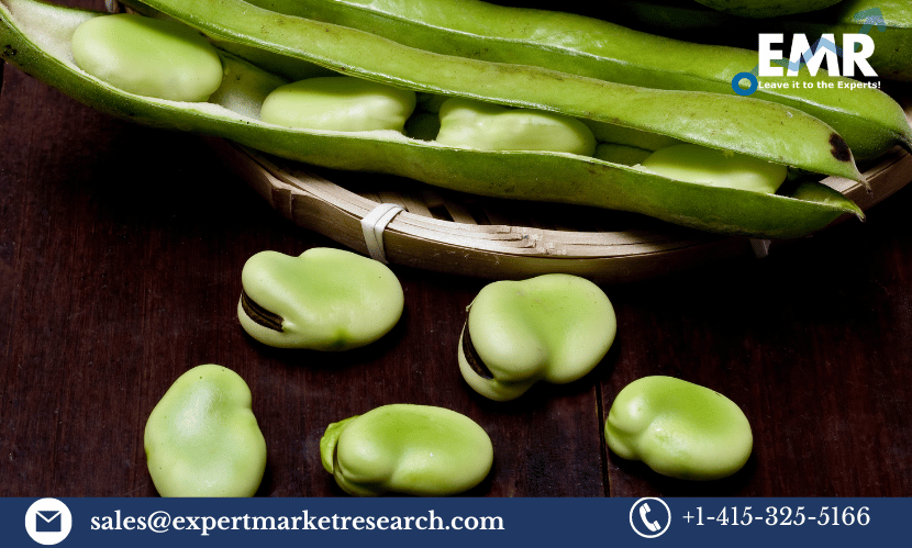 Read more about the article Fava Beans Market Size, Share, Trends, Forecast 2023-2028