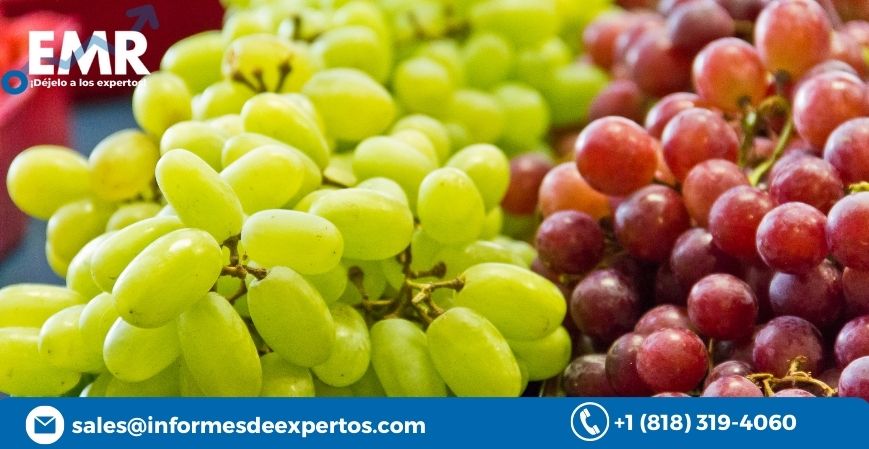 Read more about the article Mercado de Bayas y Uvas se Expandirá Debido a la Creciente Exigencia de Alimentos Orgánicos y Naturales por parte de los Consumidores, Durante el Período de Pronóstico 2023-2028