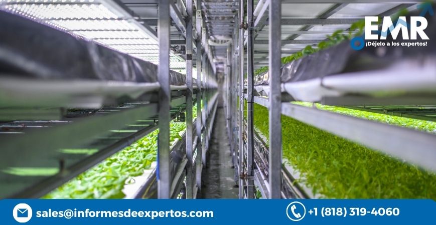 Read more about the article Mercado de Agricultura Vertical está a punto de Transformar en 2023-2028 con Auge de Inversión de los Gobiernos Regionales para el Cultivo a Gran Escala