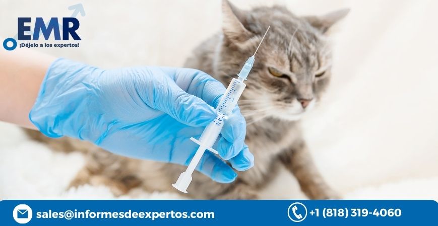 Read more about the article Mercado de Medicina Veterinaria Alcanzará Gran Crecimiento Durante 2023-2028 debido al Auge de Humanización de las Mascotas y Mejora del Personal Sanitario