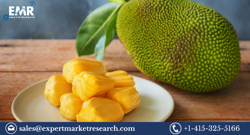 Read more about the article Global Jackfruit Market Size to Grow at a CAGR of 3.40% in the Forecast Period of 2024-2032