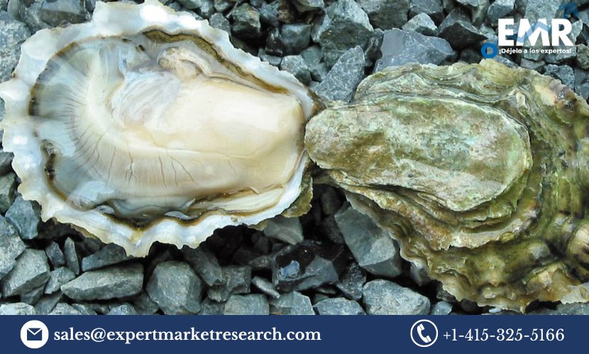 Read more about the article Global Oyster Market Size to Grow at a CAGR of 3.50% in the Forecast Period of 2023-2028