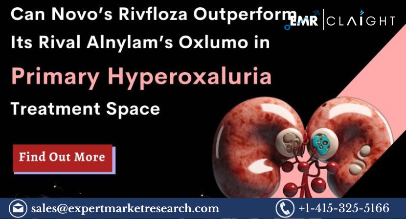 Read more about the article Global Primary Hyperoxaluria Treatment Market Size to Grow at a CAGR of 3.7% in the Forecast Period of 2023-2031