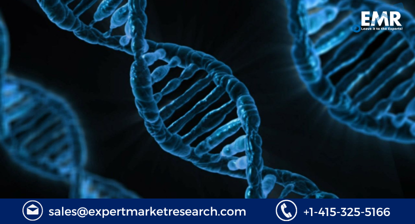 Read more about the article Global Pyrosequencing Market Size to Grow at a CAGR of 11.80% in the Forecast Period of 2023-2028