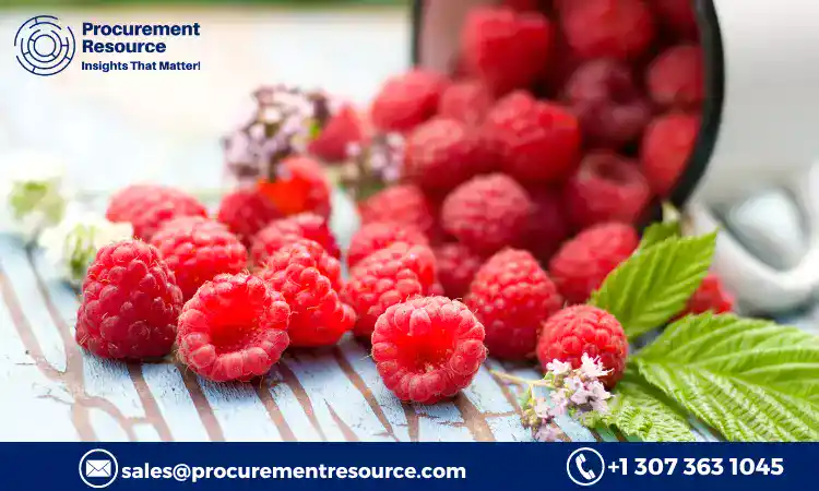 Read more about the article Raspberries Production Cost Analysis Report, Manufacturing Process, Raw Materials Requirements, Costs and Key Process Information, Provided by Procurement Resource