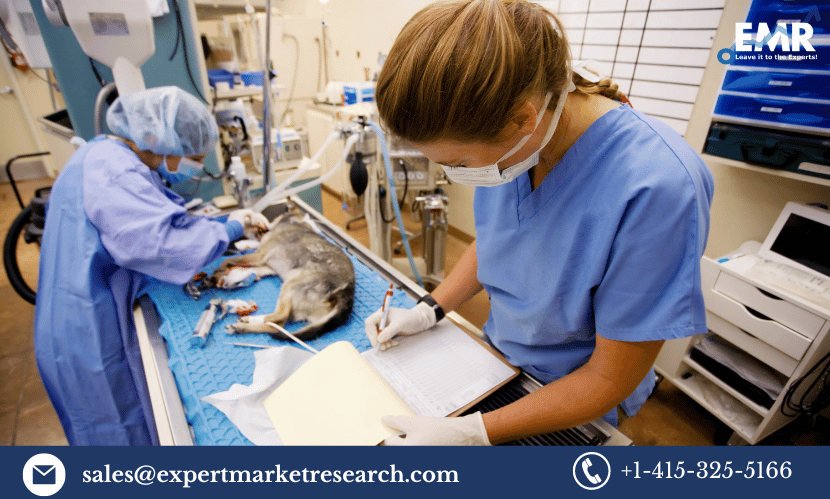 Read more about the article Chile Veterinary Drugs Market Size, Share, Trends, Demand, Forecast 2023-2028