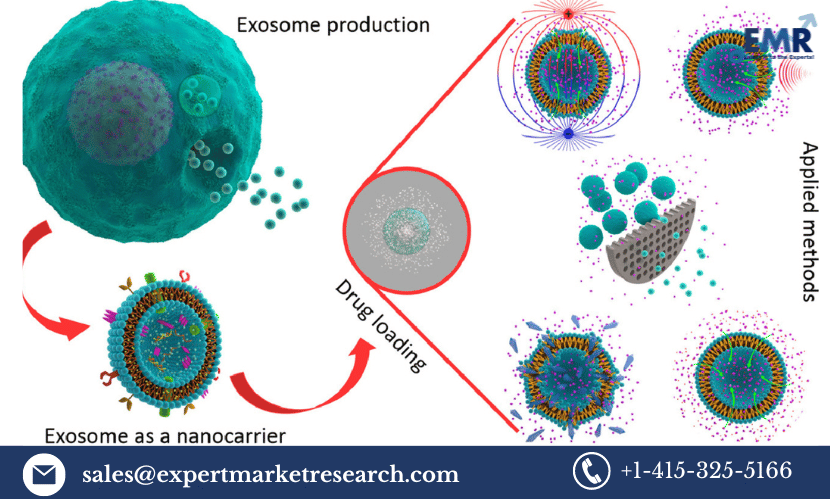 Read more about the article Global Exosomes Drug Market Size to Grow at a CAGR of 6.5% in the Forecast Period of 2024-2032