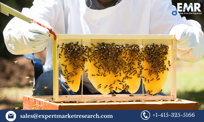 Read more about the article Indian Apiculture Market Growth, Size, Share, Forecast 2023-2028