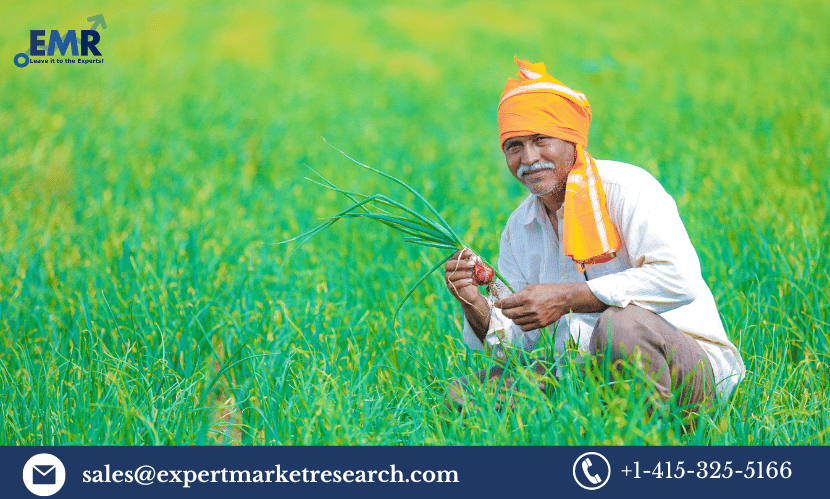 Read more about the article Indian Bio Agriculture Market Size, Demand, Report 2023-2028