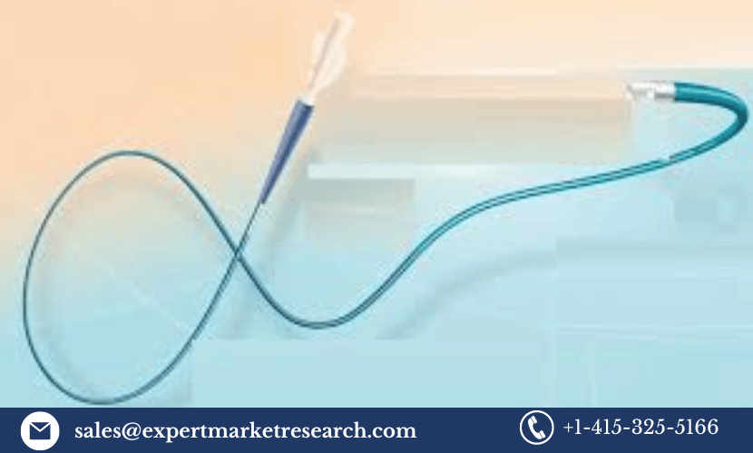 Read more about the article Microcatheter Market Size, Share, Growth, Report 2023-2028