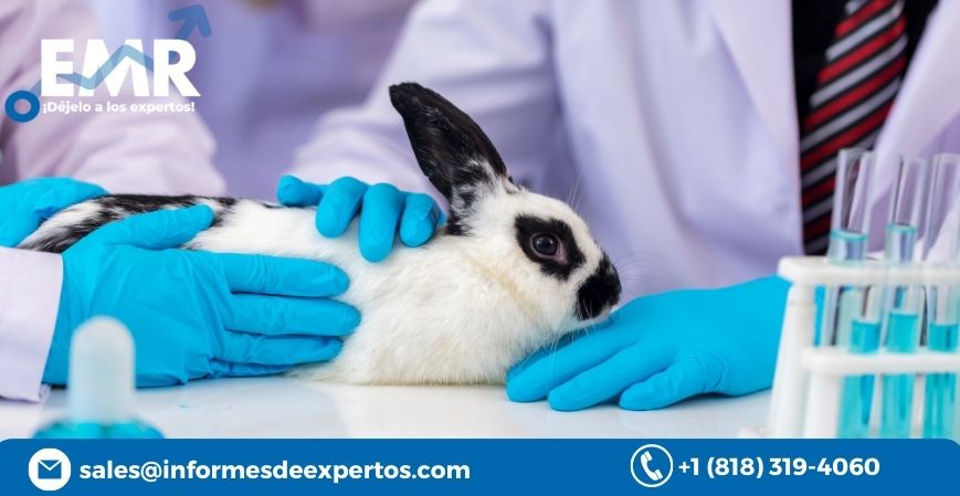 Read more about the article Mercado de Sanidad Animal Podría Crecer por el Aumento de la innovación y las inversiones Durante el Período de Pronóstico de 2023-2028