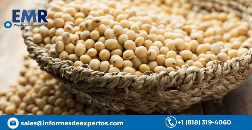 Read more about the article Mercado de Soja Florecerán en el Periodo de Pronóstico de 2023-2028 Impulsado por el Creciente Requerimiento de los Alimentos Sanos