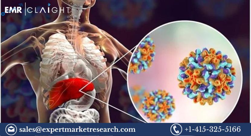 Read more about the article Global Hepatitis B Infection Treatment Market Size to Grow at a CAGR of 7.2% During the Forecast Period of 2024-2032