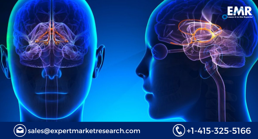 Read more about the article Global Huntington’s Disease Treatment Market Size to Grow at a CAGR of 16% in the Forecast Period of 2023-2031